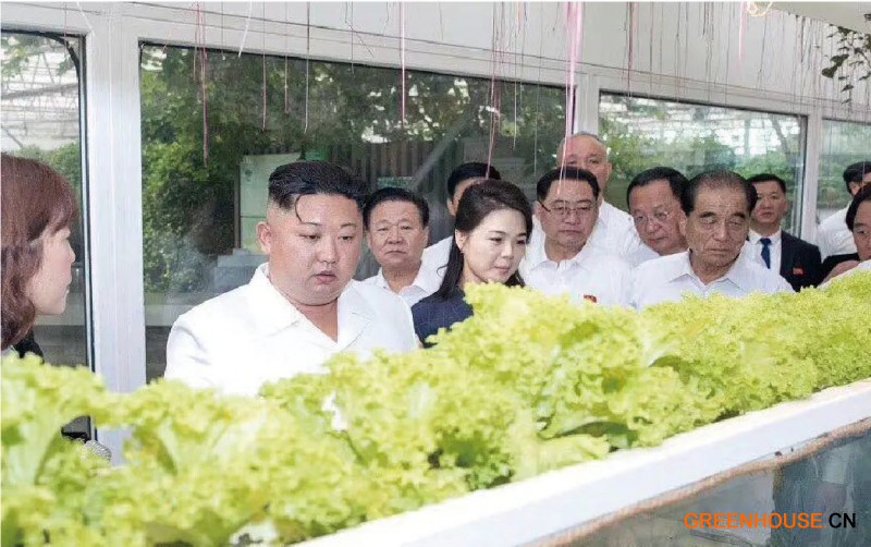 4.朝鮮最高領(lǐng)導(dǎo)人、朝鮮勞動(dòng)黨總書記金正恩到訪創(chuàng)新園